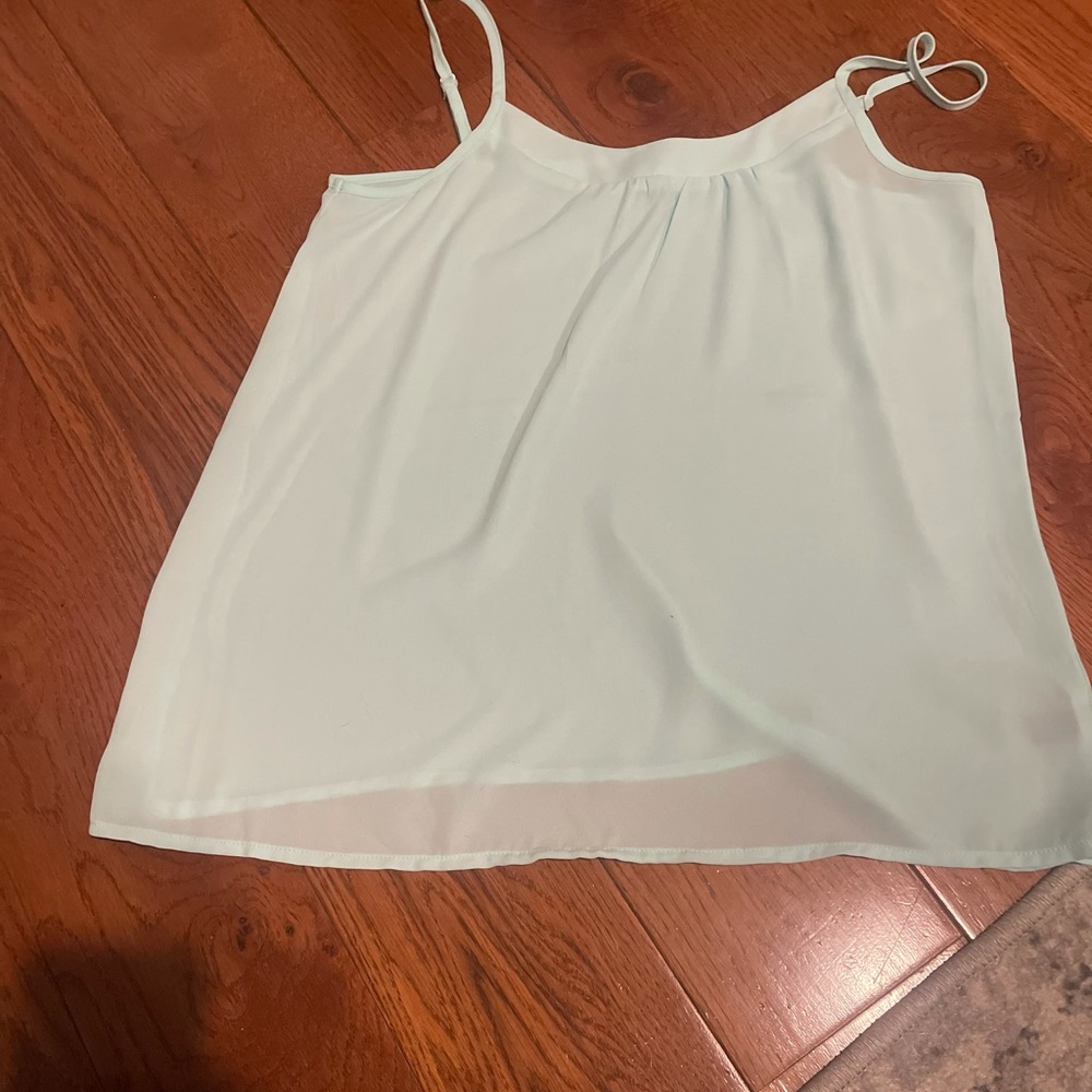 THE LIMITED sheer shirt
